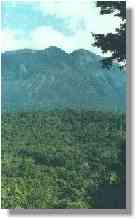 Morne Trois Pitons