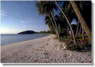Beach near Woodford Hill